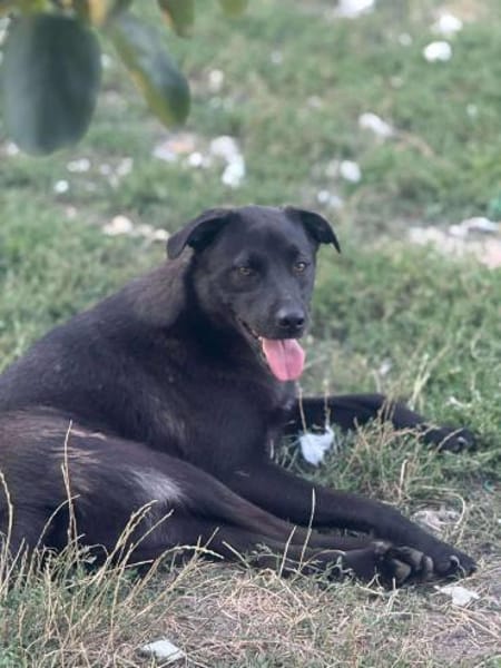 Yana, zarte Schönheit sucht ....