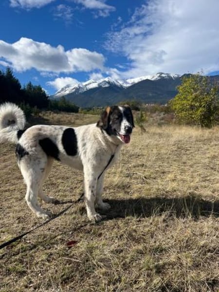 Linda, großartig und großherzig