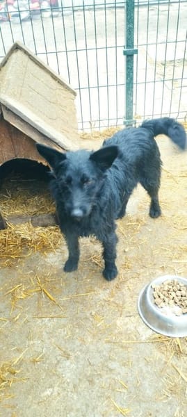 Vaka liebt Kinder, sucht Familie