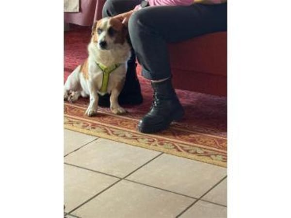 Franco - wartet in 84069 Schierling