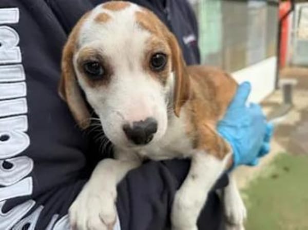 MARTINA - ab Februar auf PS in Berlin