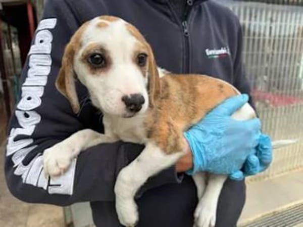 MARTINA - ab Februar auf PS in Berlin