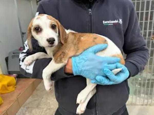 MARTINA - ab Februar auf PS in Berlin