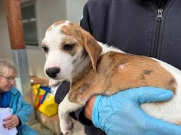 MARTINA - ab Februar auf PS in Berlin