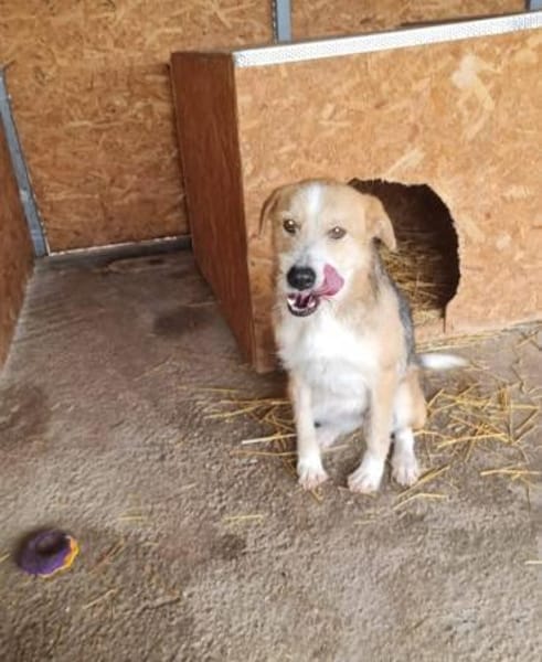 Liebe Sakari sucht ihre Familie