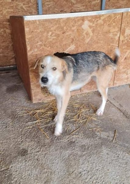 Liebe Sakari sucht ihre Familie