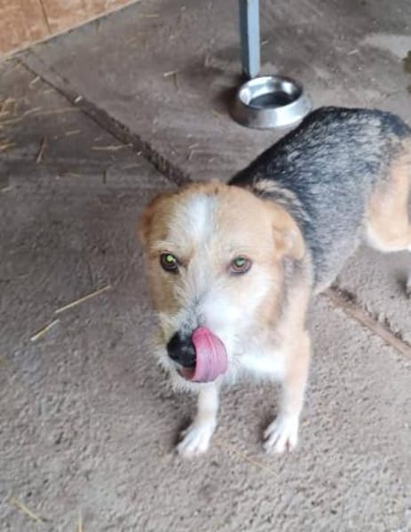 Liebe Sakari sucht ihre Familie