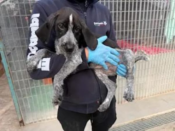 BIG - ab Februar auf PS in Dortmund