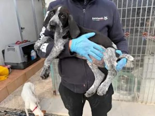 BIG - ab Februar auf PS in Dortmund