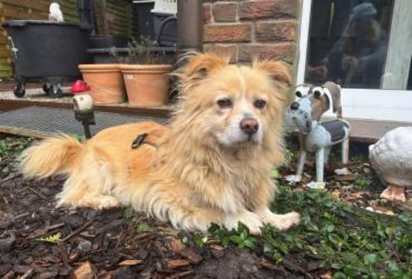 Legolas, kleiner Herzensbrecher