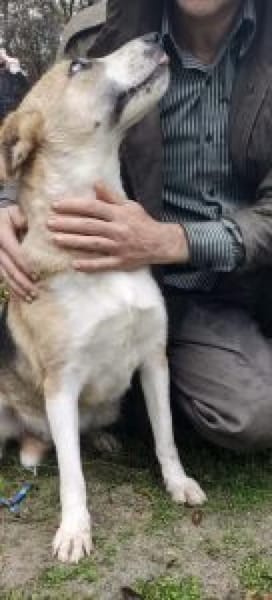 Lissy 50 cm (Pflegestelle)