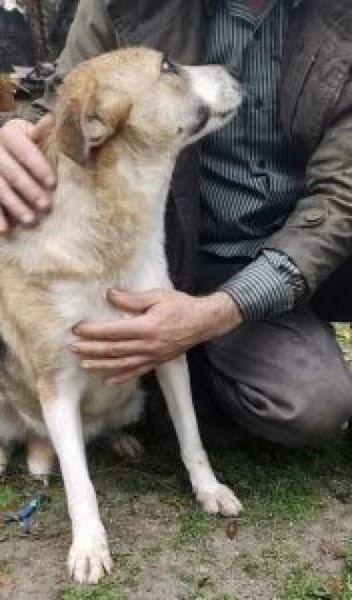 Lissy 50 cm (Pflegestelle)