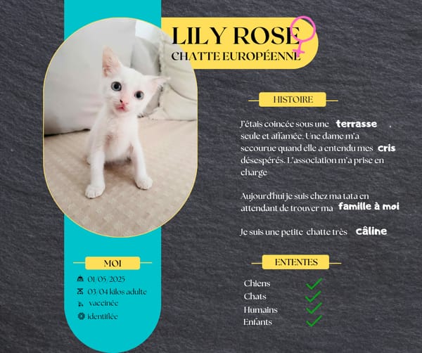 Lily Rose, la jolie petite puce