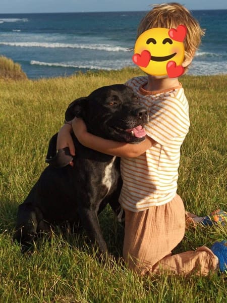 Victor, mâle X berger, né le 10/10/2024