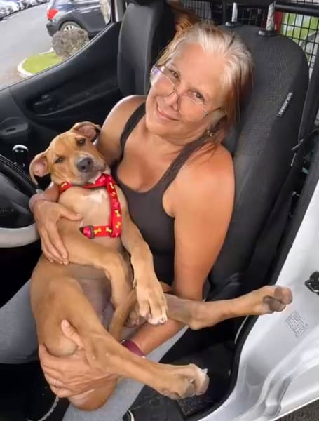 Barton, mâle croisé berger, né le 15/06/2025