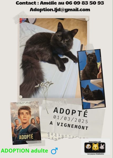 adopté