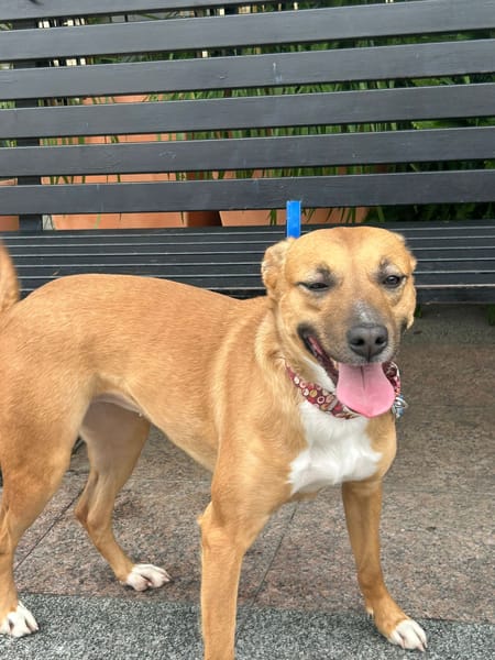 MARI-LOLI ( Los Reyes)