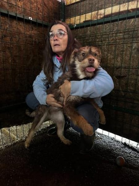 Nooka sucht ihr Zuhause