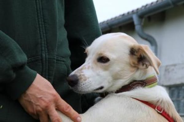 Morgana, Pflegestelle in Bayern