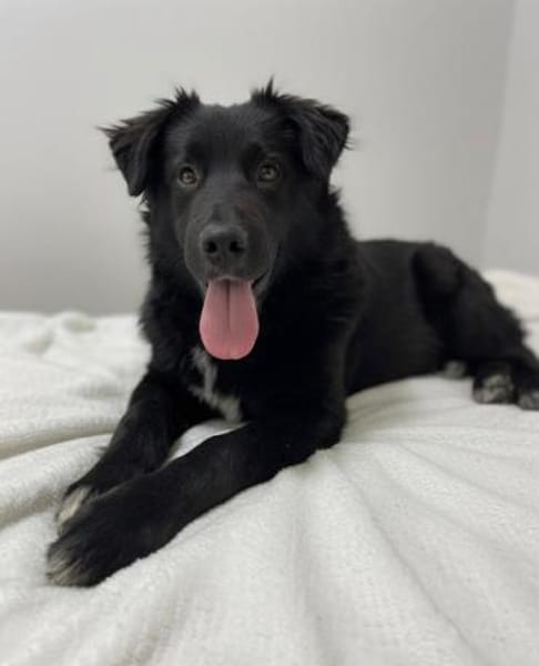 BARON  WARUM SIEHT IHN NIEMAND?