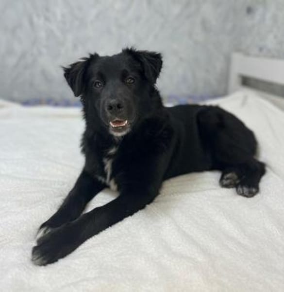 BARON  WARUM SIEHT IHN NIEMAND?