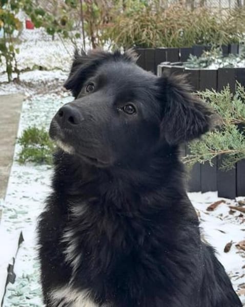 BARON  WARUM SIEHT IHN NIEMAND?