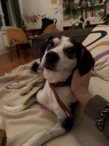 Skadi: offen, menschenbezogen + so lieb!