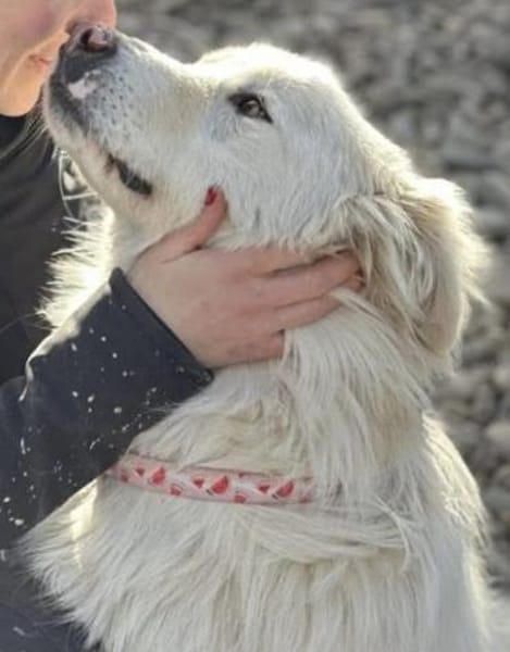 Knut sucht seinen Deckel/ in 82284