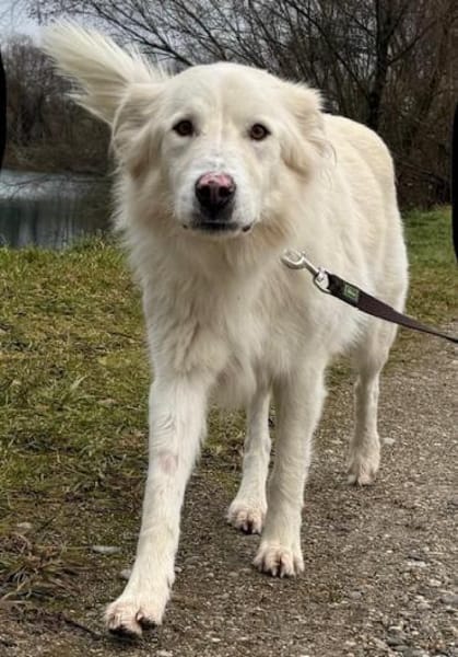 Knut sucht seinen Deckel/ in 82284