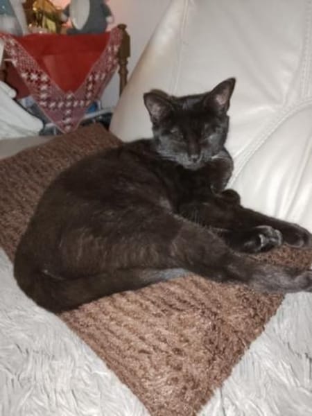 Tinki - zum Verlieben