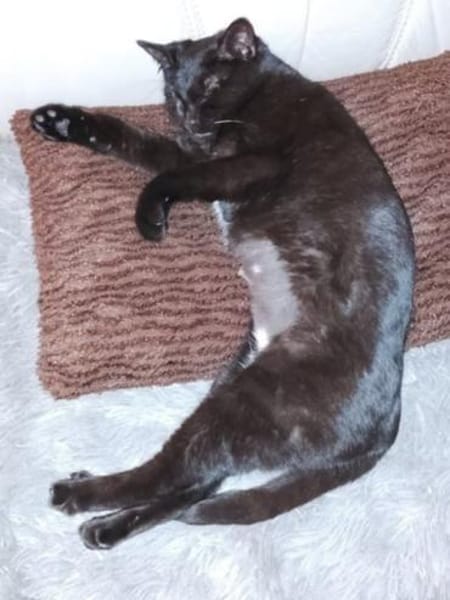 Tinki - zum Verlieben