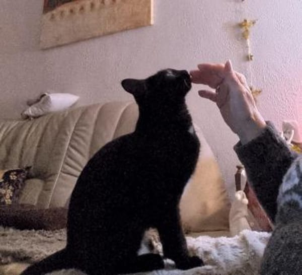 Tinki - zum Verlieben