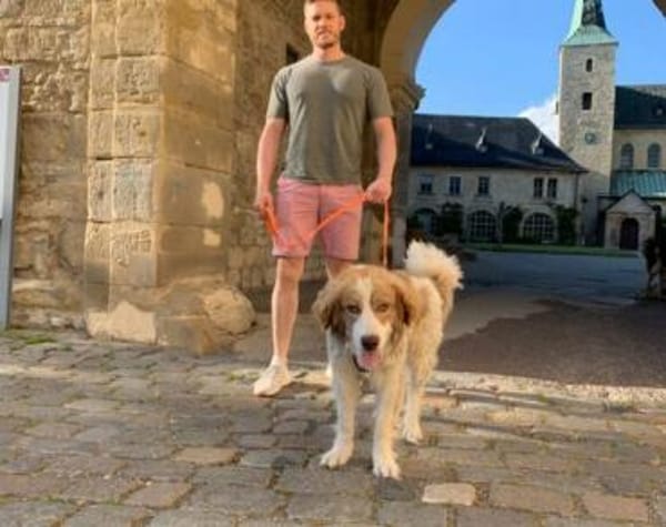 Rey sucht dringend ein neues Zuhause!