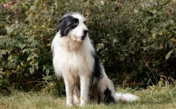 Paul sucht seine Menschen