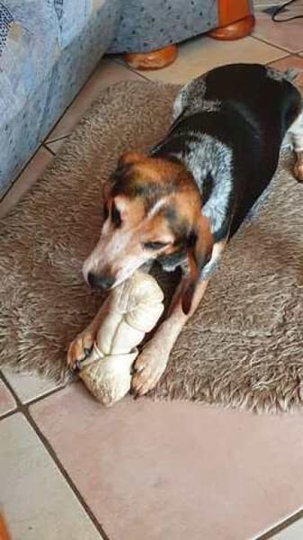 Siobhan -unkompliziert, freundlich-