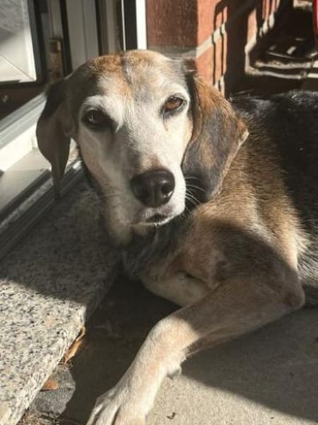 Siobhan -unkompliziert, freundlich-