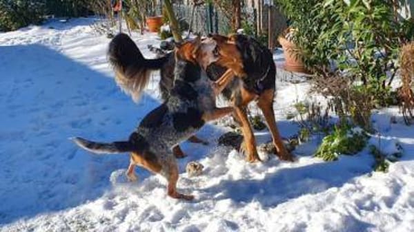 Siobhan -unkompliziert, freundlich-