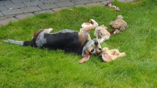 Siobhan -unkompliziert, freundlich-