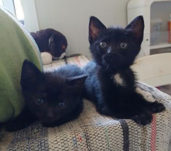 Kleine Olivia möchte die Welt entdecken!