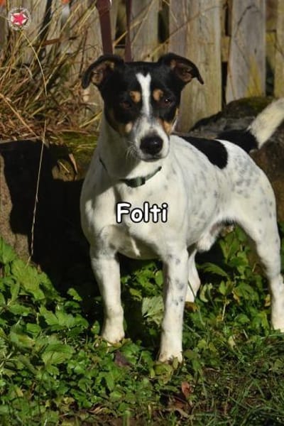 FOLTI