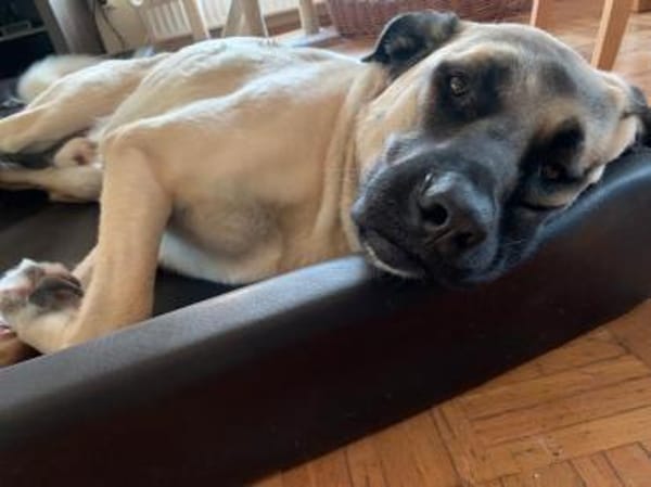 Karol, menschenbezogen und wachsam