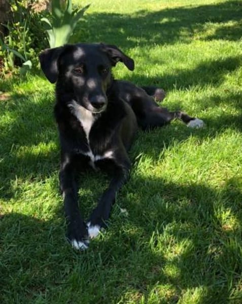 LENE * Ideenreiches Schlauköpfchen