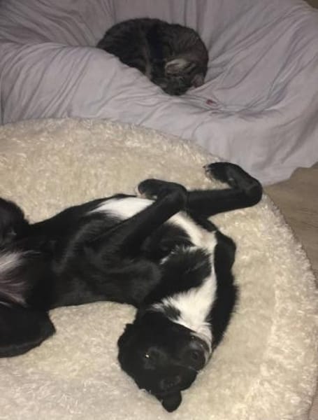 LENE * Ideenreiches Schlauköpfchen