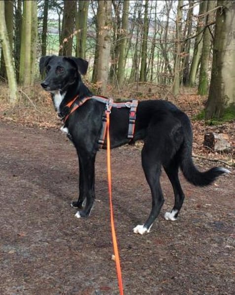 LENE * Ideenreiches Schlauköpfchen