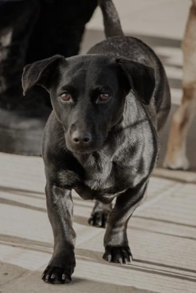 Jung gebliebene Seniorin sucht