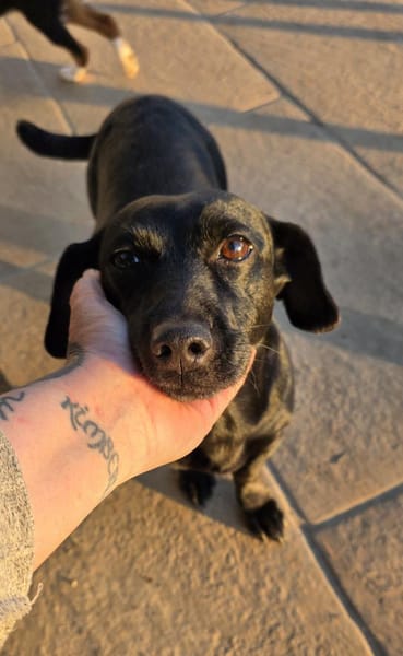 Jung gebliebene Seniorin sucht