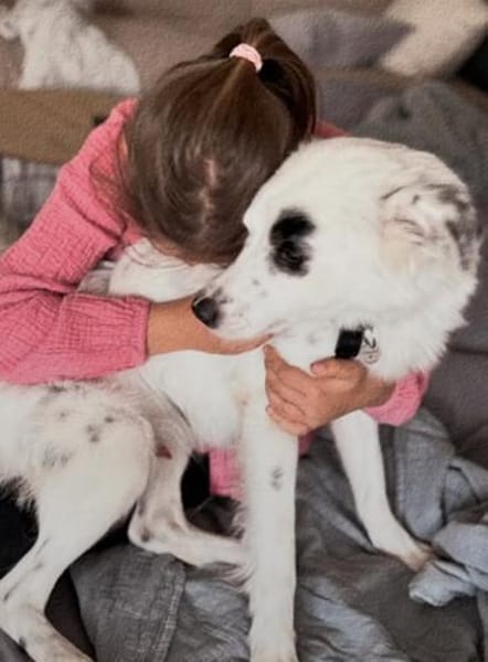 Kuscheliger Charlie sucht aktives Heim