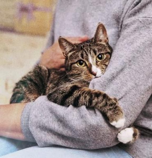 Grosses Menschen-Herz gesucht!