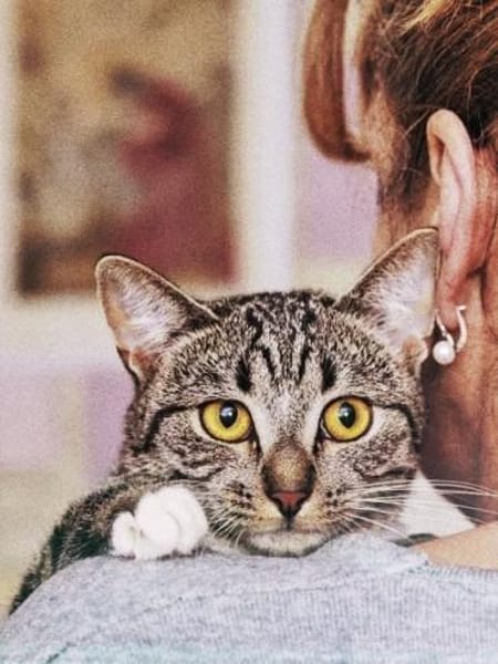 Grosses Menschen-Herz gesucht!