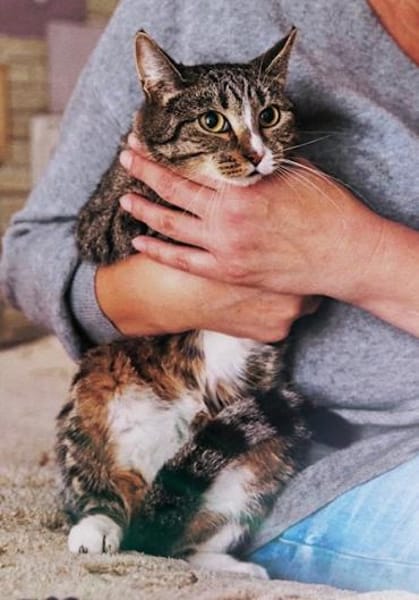 Grosses Menschen-Herz gesucht!